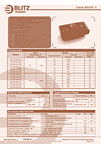 DataSheet BIS10B-2405DR pdf